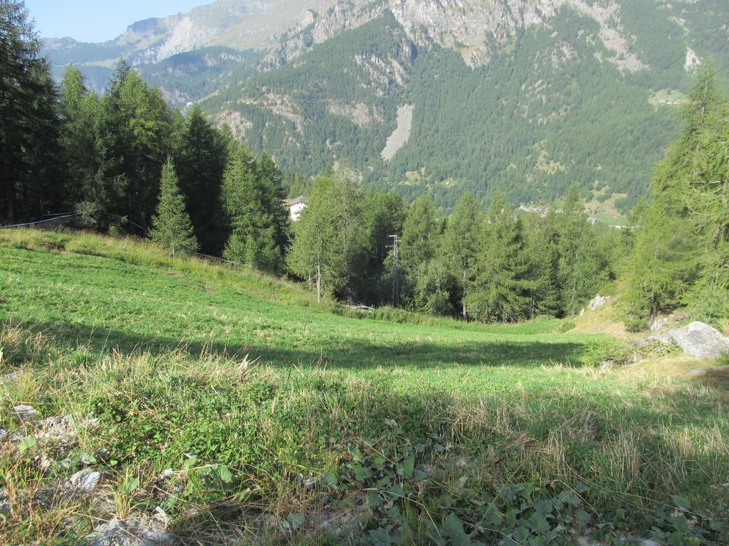 Cervino Valley House Rododendro Breuil-Cervinia Room photo